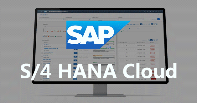 SAP S/4 HANA Cloud,SAP ERP,SAP Public Cloud